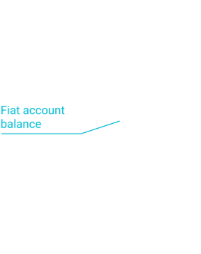 fiat balance