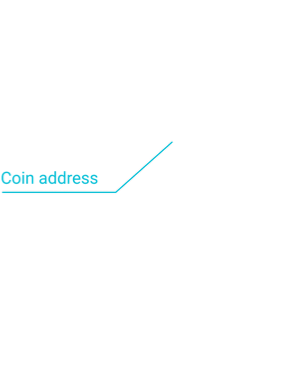 coin address